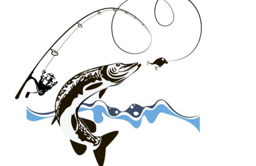 南北終端魚餌有哪些優勢呢